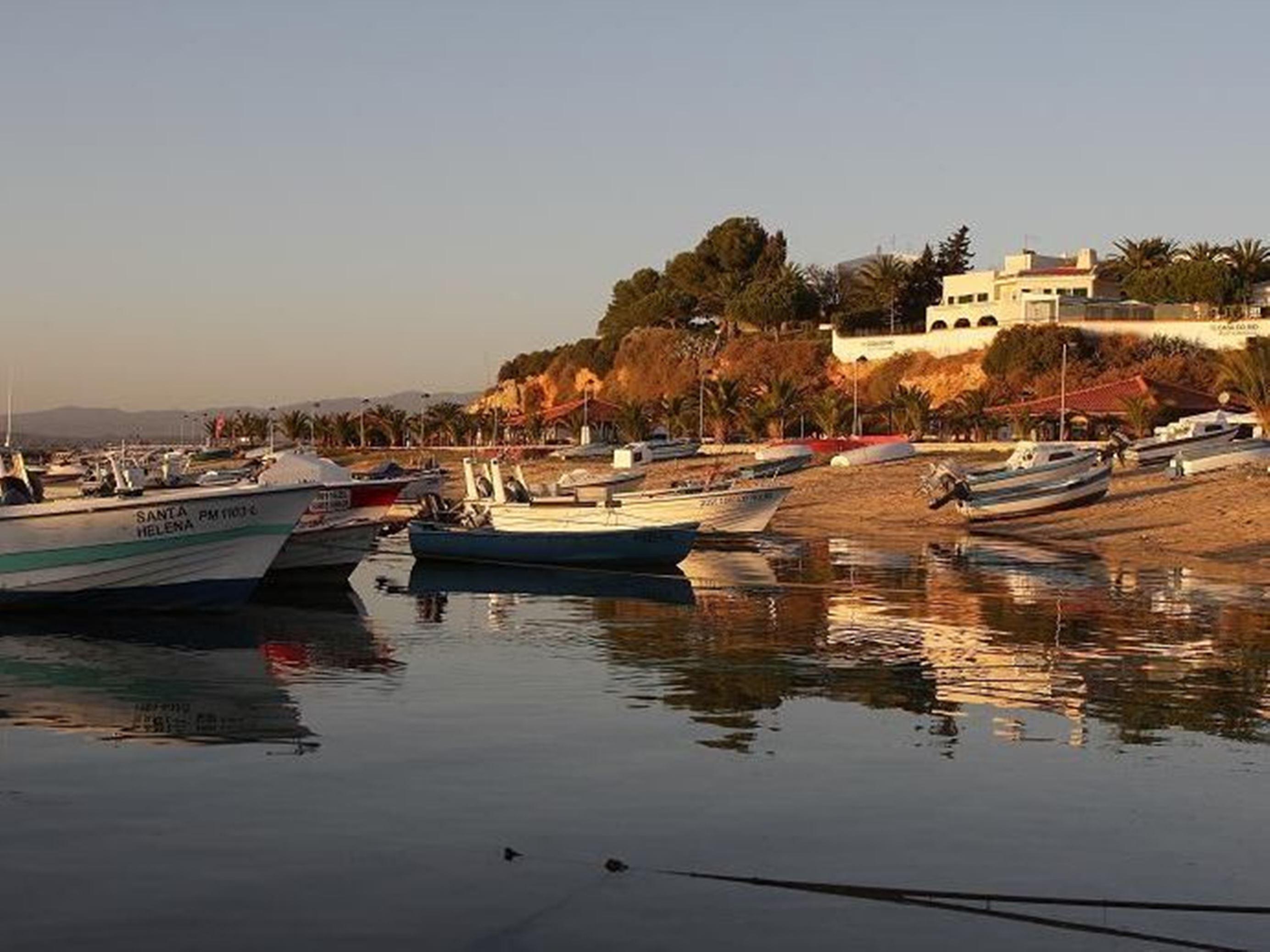 Yellow Alvor Garden Exterior foto
