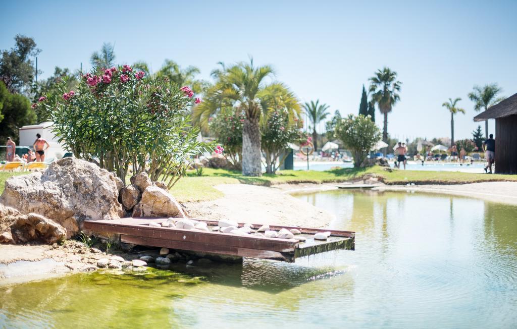 Yellow Alvor Garden Exterior foto