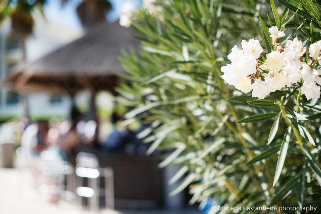 Yellow Alvor Garden Exterior foto